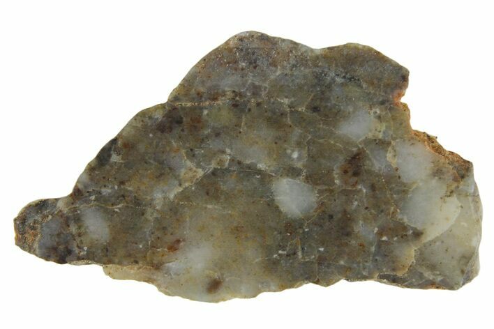 Lunar Meteorite ( g) Slice - Laayoune #360190